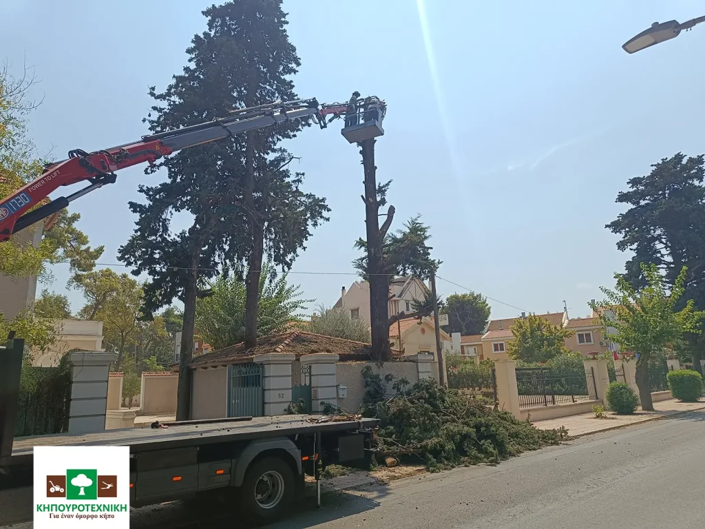 κοπή δέντρων κηπουροτεχνική 8
