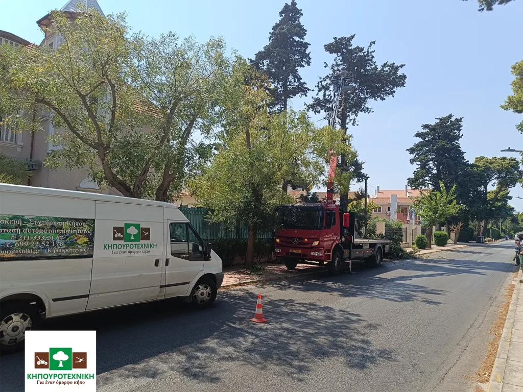 κοπή δέντρων κηπουροτεχνική 9