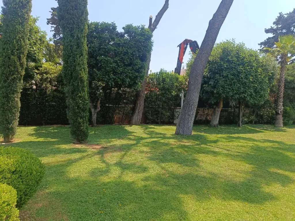 kipourotexniki kopi dentron 30