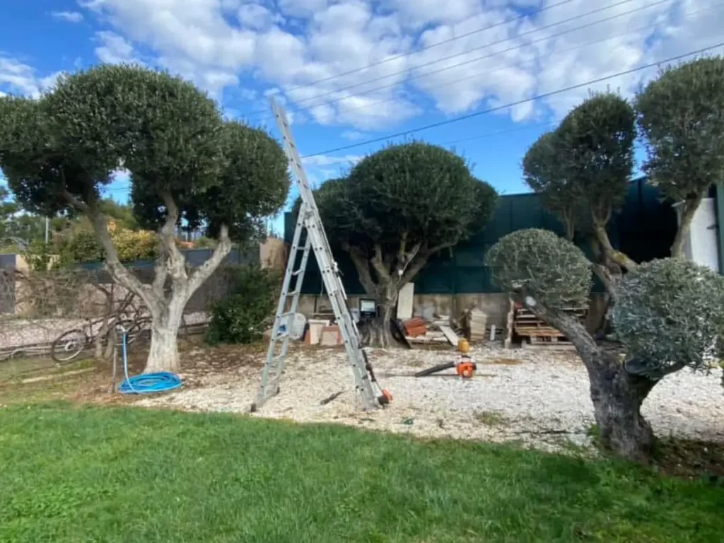 kipourotexniki syntirisi kipou 30