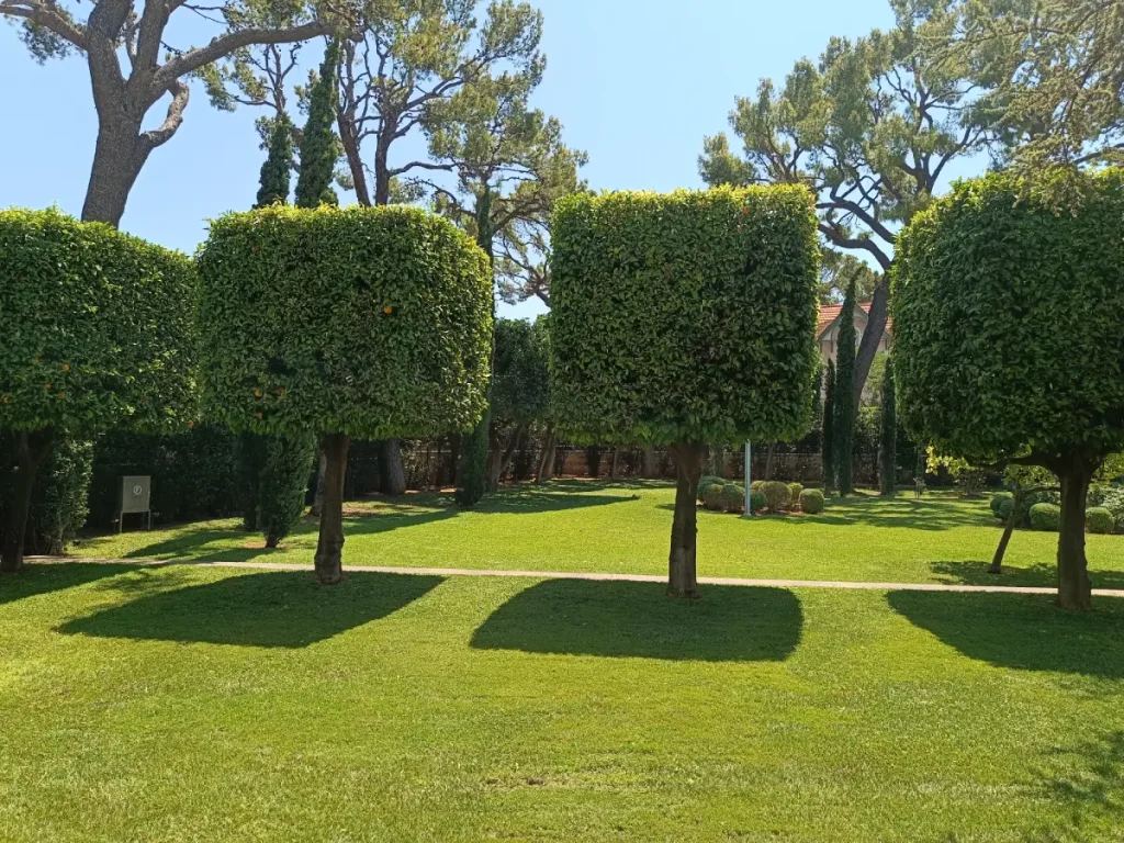 kipourotexniki syntirisi kipou 34