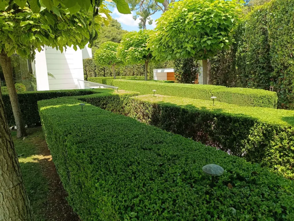 kipourotexniki syntirisi kipou 39